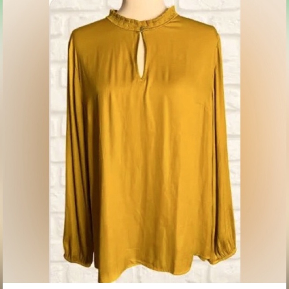 Loft Blouse Loft Blouse